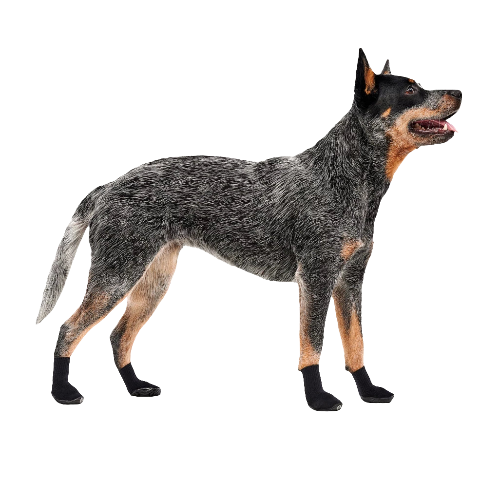 Goo-eez Dog Boots Lites 4 Per Pack