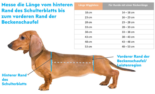 Wiggleless Kombi-Paket XS für Tierphysios