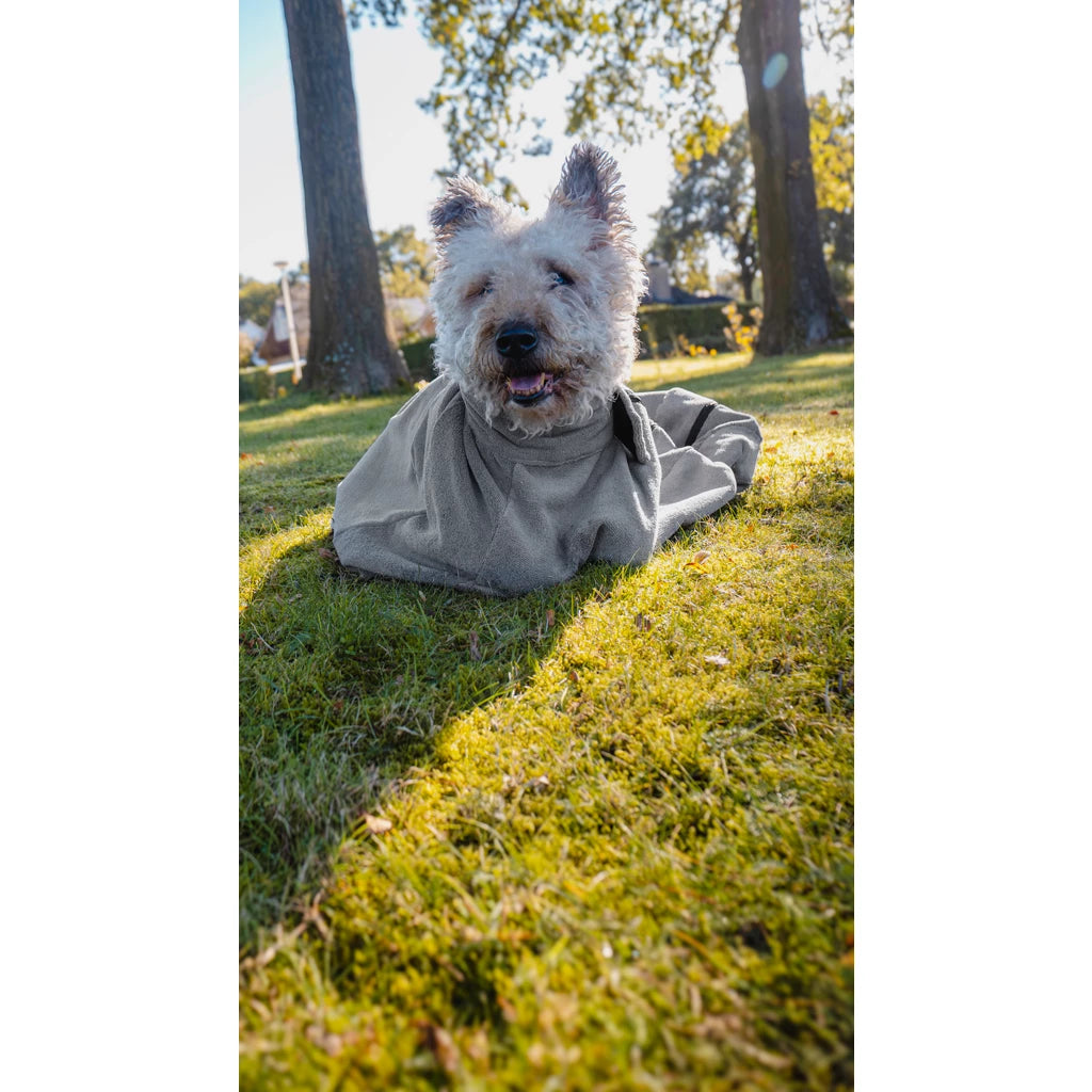 Royal Dry Doggy Bag Trockenbeutel M