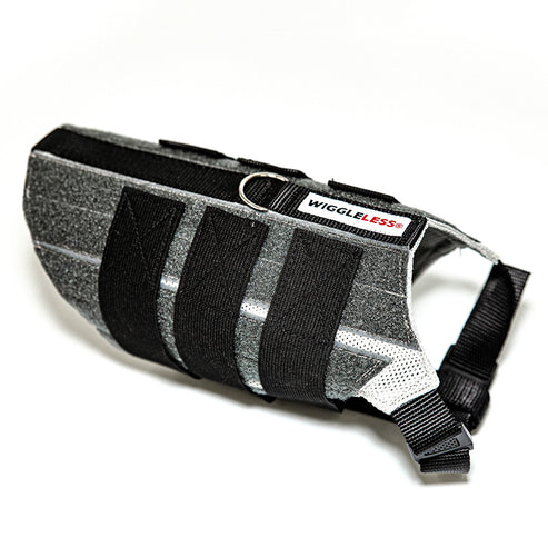 A Wiggleless Back Brace for your Dog